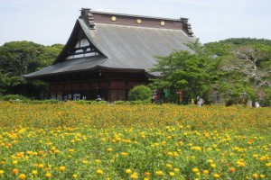 長福寿寺　改１